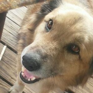 Meet your Posher, Johnathan